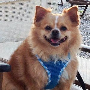 Meet your Posher, Erma